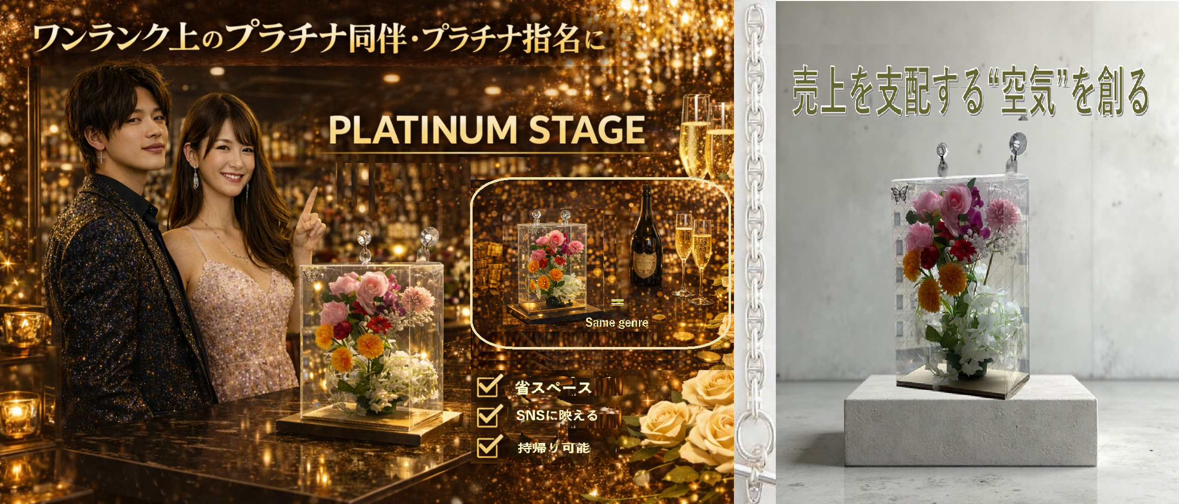 PLATINUM STAGE
